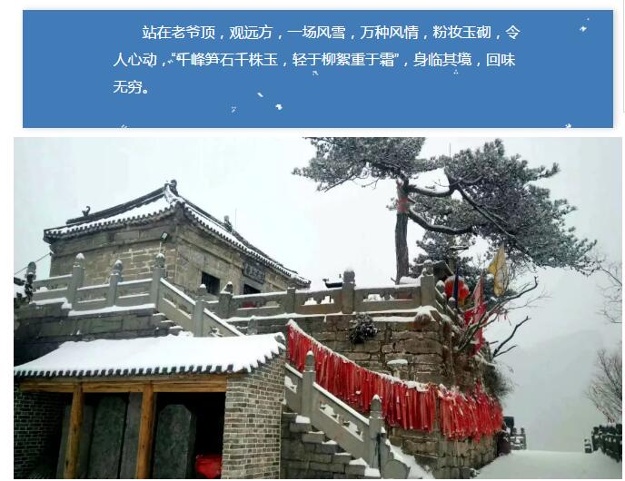 雪花飞舞，谁雕玉树琼枝？
