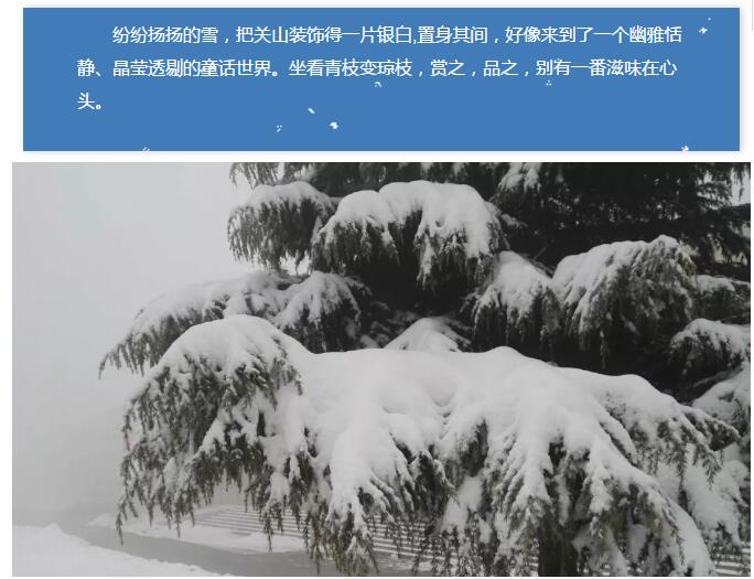 雪花飞舞，谁雕玉树琼枝？