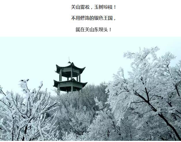 三九天，我们一起去关山看雾凇可好？