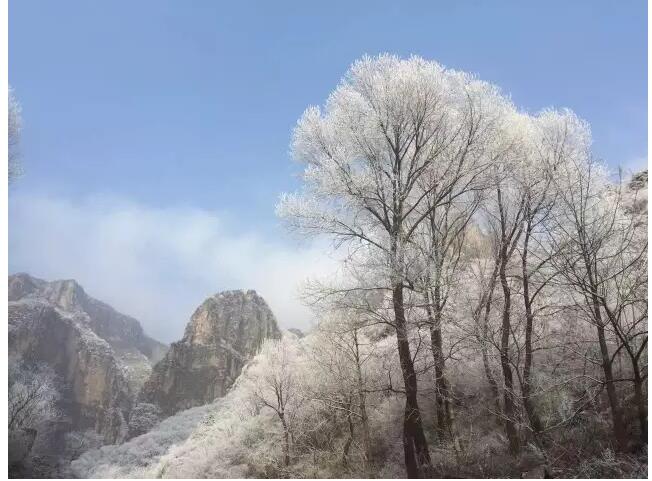 三九天，我们一起去关山看雾凇可好？