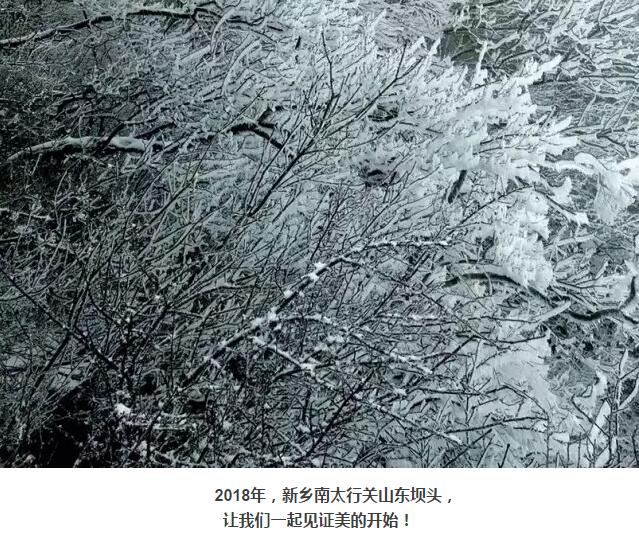 三九天，我们一起去关山看雾凇可好？