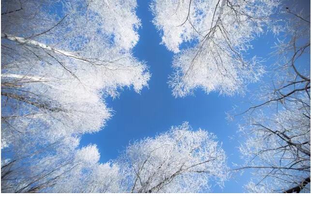 听说新乡南太行景色很迷人？我替你们问了问麦克·山下......