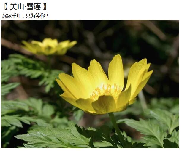 你有一条来自新乡南太行的留言，请注意查收......