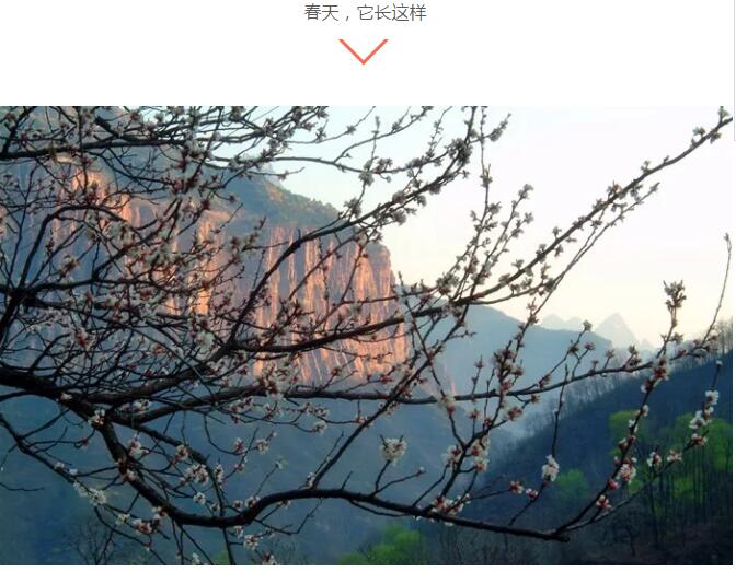 2018给你一份《万仙山景区使用说明书》，收好不谢！