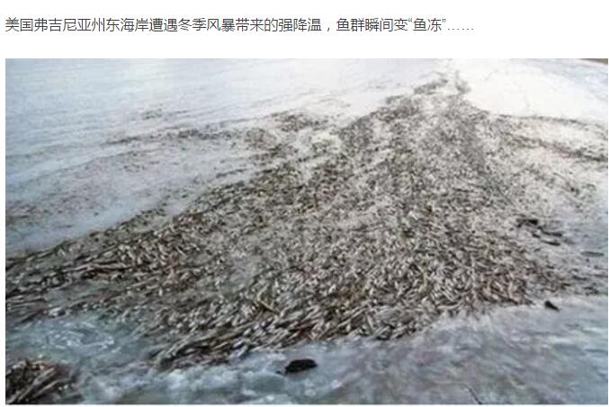 和-69℃的美国比起来，新乡南太行暖暖的！