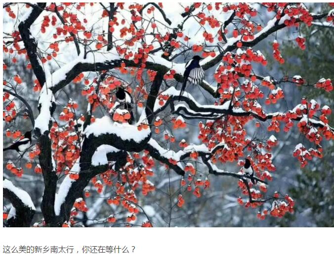 和-69℃的美国比起来，新乡南太行暖暖的！