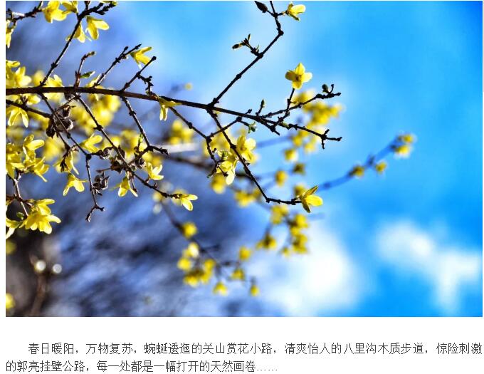 新乡南太行丨@所有人，千万别错过这里冬末春初的美景......