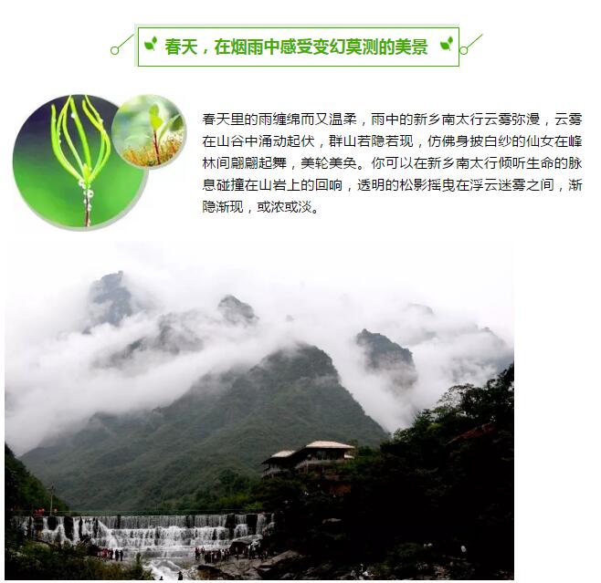春节假期太短不尽兴？没关系，新乡南太行的春天在等你！
