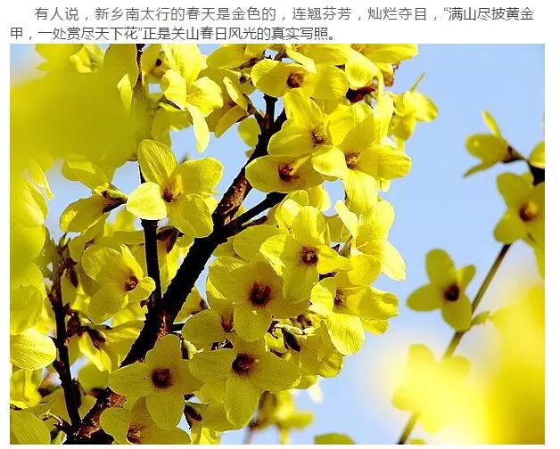 速传播！新乡南太行要给好色之徒点颜色瞧瞧了！