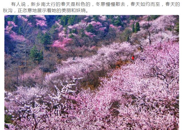 速传播！新乡南太行要给好色之徒点颜色瞧瞧了！