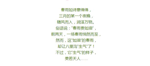 一场春雨过后，八里沟生气了……
