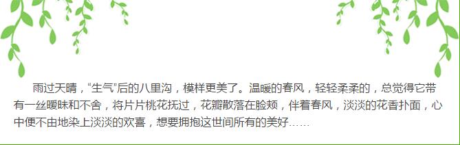 一场春雨过后，八里沟生气了……