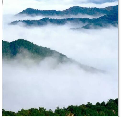一场春雨过后，八里沟生气了……