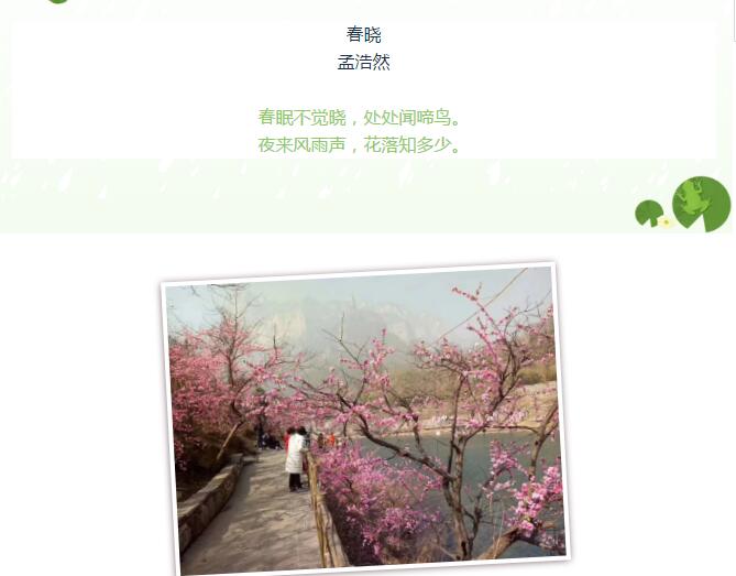 一场春雨过后，八里沟生气了……
