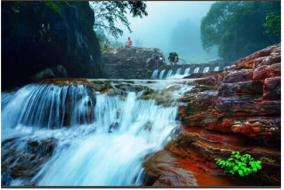 一场春雨过后，八里沟生气了……