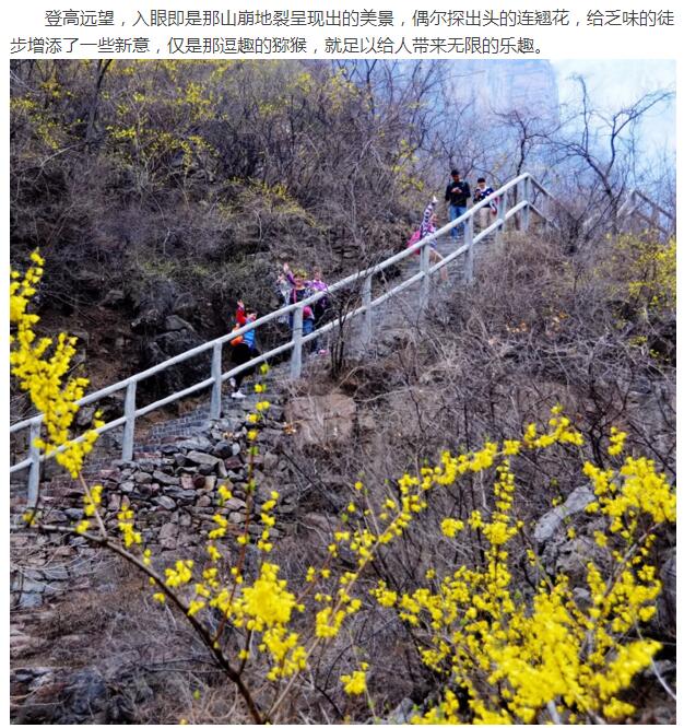 太行春来早，游客涌如潮！