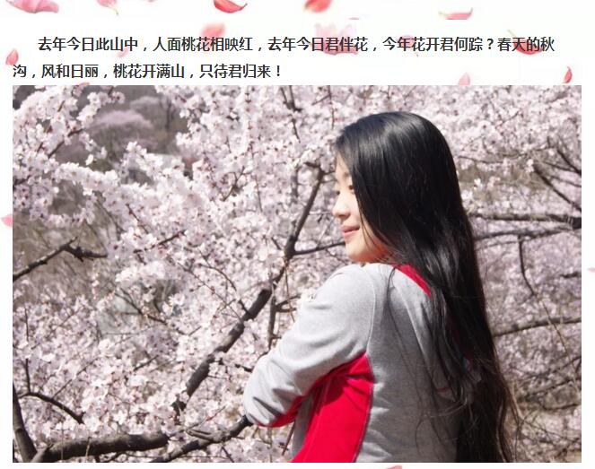 春游踏青哪里去？快来秋沟赏桃花！