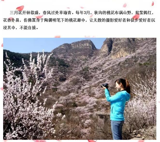 春游踏青哪里去？快来秋沟赏桃花！