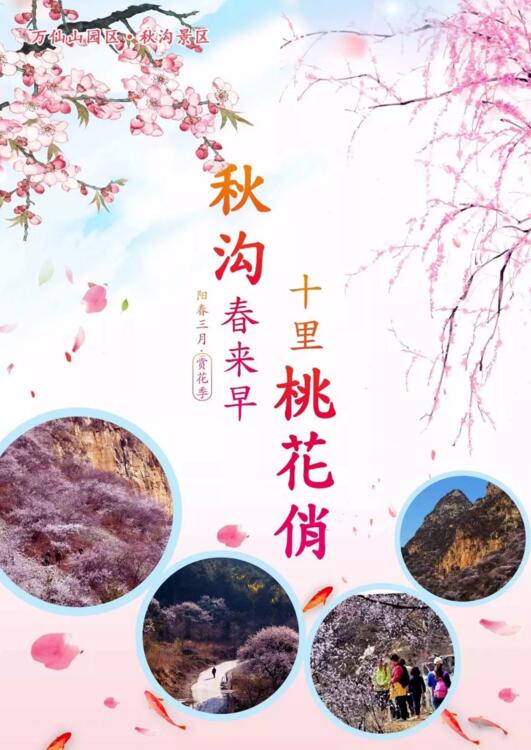 【通知】敲黑板注意啦！秋沟山桃花已绽放!