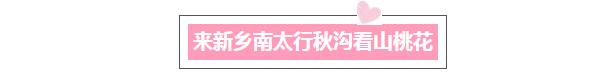秋沟景区等着你归来，看那山桃花朵朵开！