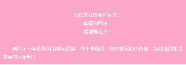 秋沟景区等着你归来，看那山桃花朵朵开！
