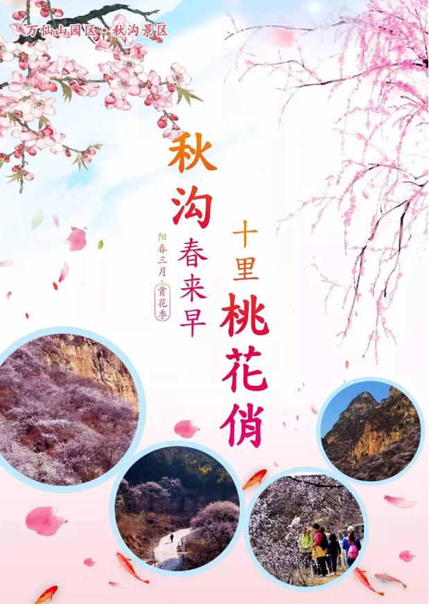 秋沟景区等着你归来，看那山桃花朵朵开！