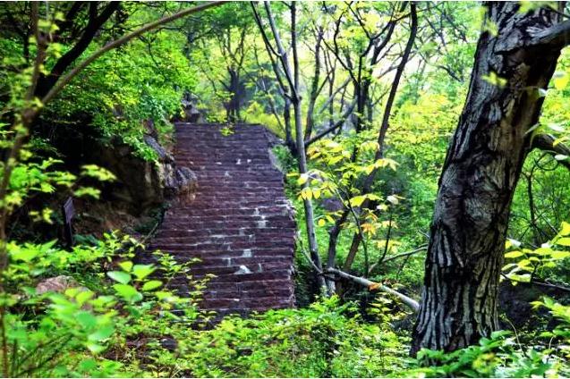 观山观水观天下|走进关山呼吸清新空气，领略“人间仙境”