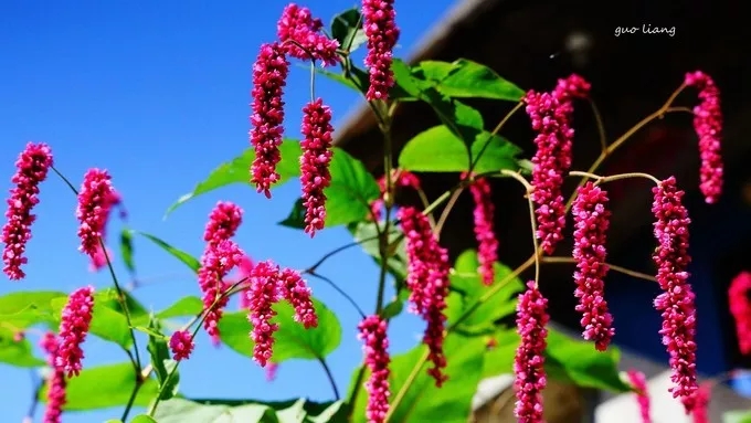 纯干货分享——万仙山游行随记