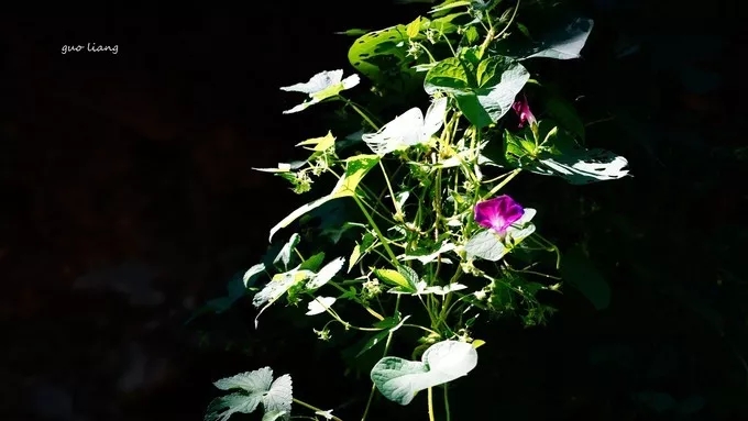 纯干货分享——万仙山游行随记