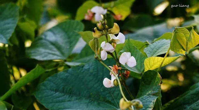 纯干货分享——万仙山游行随记