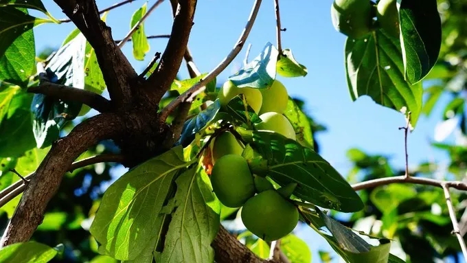 纯干货分享——万仙山游行随记