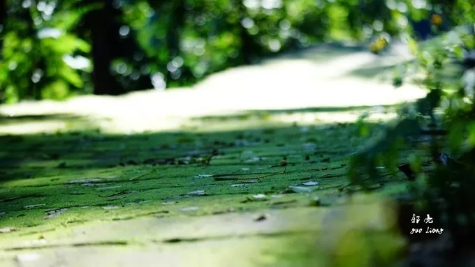 纯干货分享——万仙山游行随记