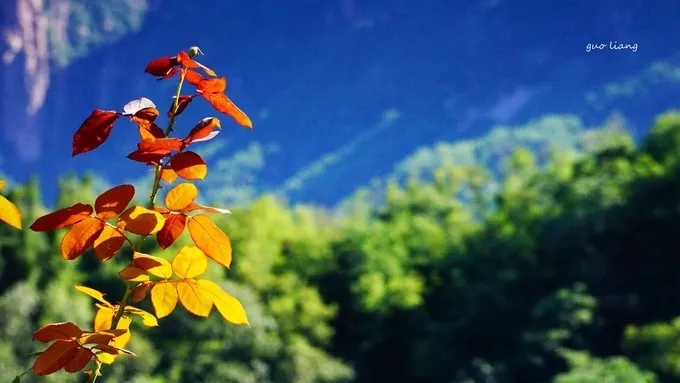 纯干货分享——万仙山游行随记