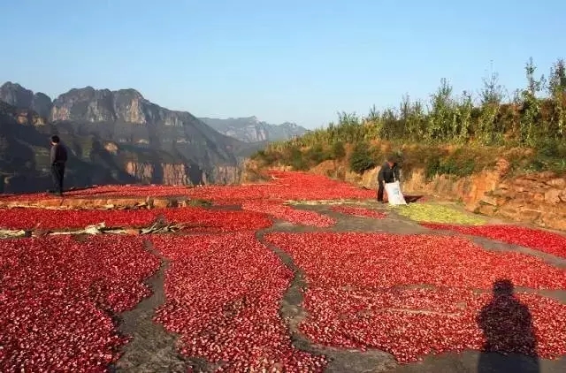 走进九月的新乡南太行，感受她独特的美......