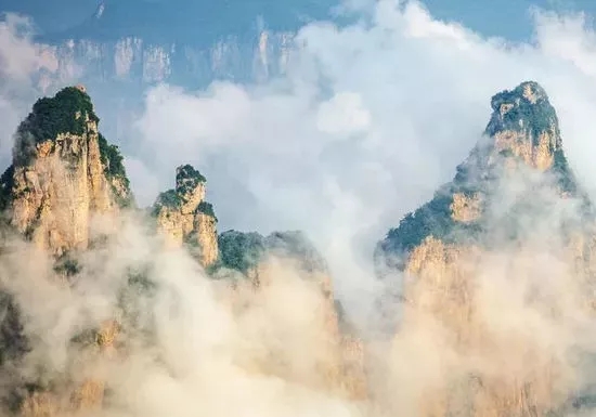 有一处胜地，雨不能洗其美，风不能掠其香......