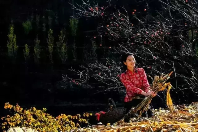 悬崖之畔，云海之端，这里有你渴望的诗和远方！