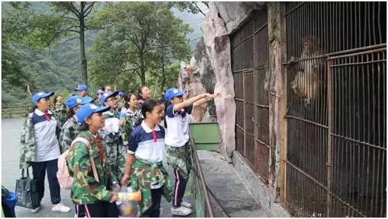 太行秋意浓，研学迎新时——记我市第三十中学研学旅行活动