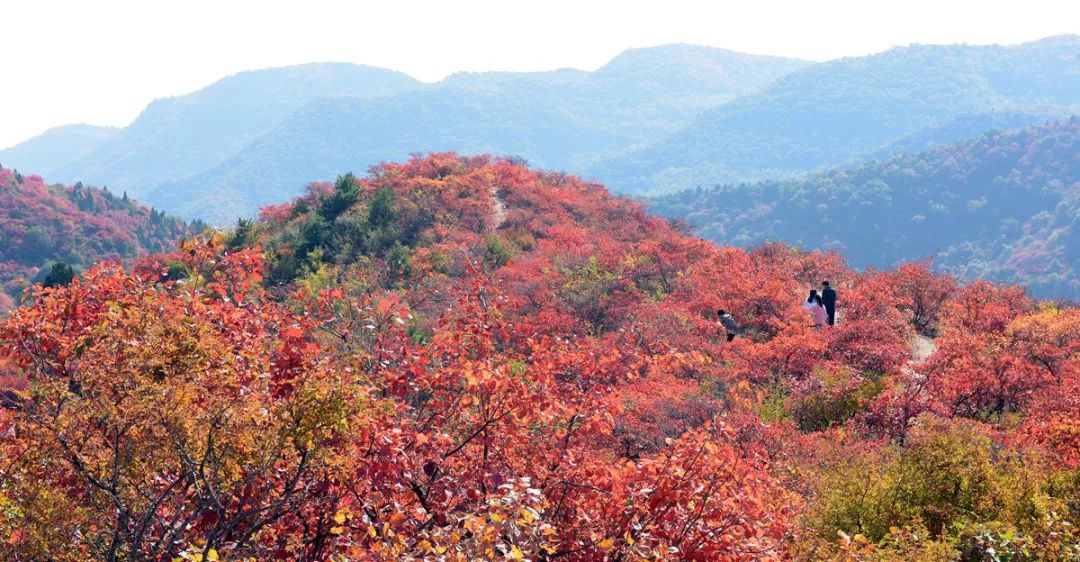 【重磅消息】2018”三山同登“群众登山健身大会新乡南太行关山分会场开始征集报名啦！