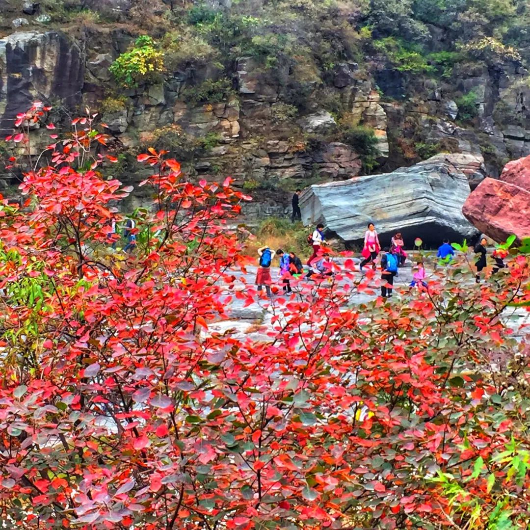 【重磅消息】2018”三山同登“群众登山健身大会新乡南太行关山分会场开始征集报名啦！