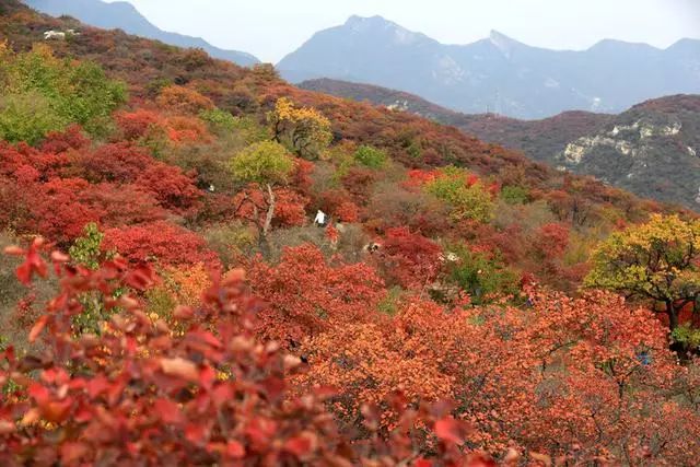 【重磅消息】2018”三山同登“群众登山健身大会新乡南太行关山分会场开始征集报名啦！