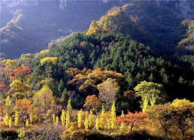 新乡南太行|邂逅浪漫唯美的五色之秋，这里美的让你窒息......