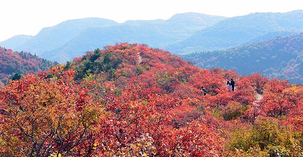 【倒计时】“万人登关山群众登山健身大会报名倒计时......