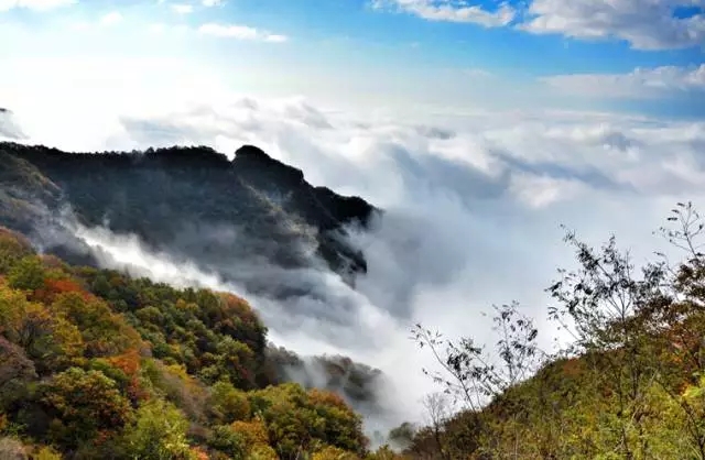 霜降|晚秋已至，秋色更浓，来新乡南太行赴一场秋的邀约...