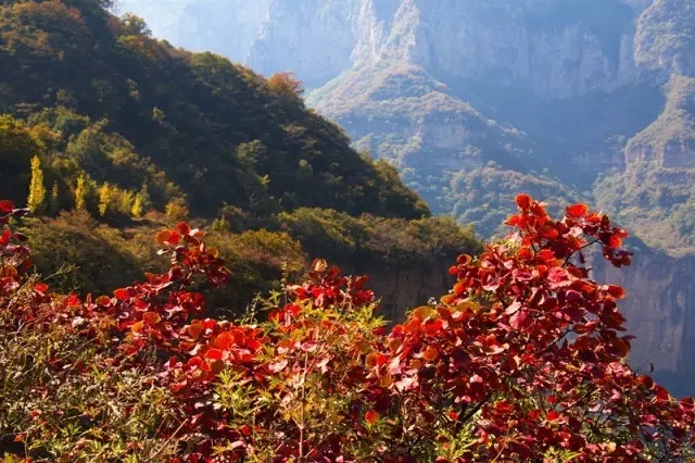 霜降|晚秋已至，秋色更浓，来新乡南太行赴一场秋的邀约...