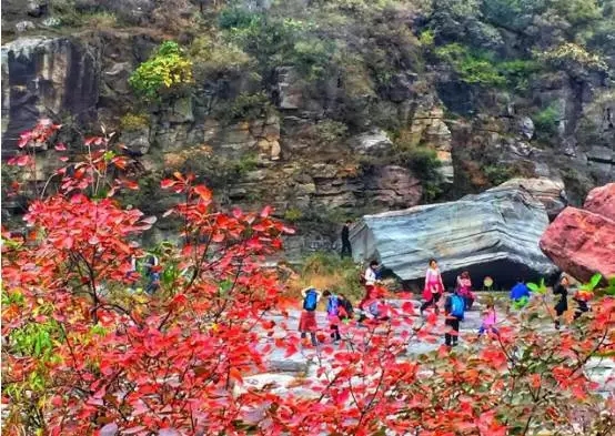 太行秋色正当时，最美风景就在这里！