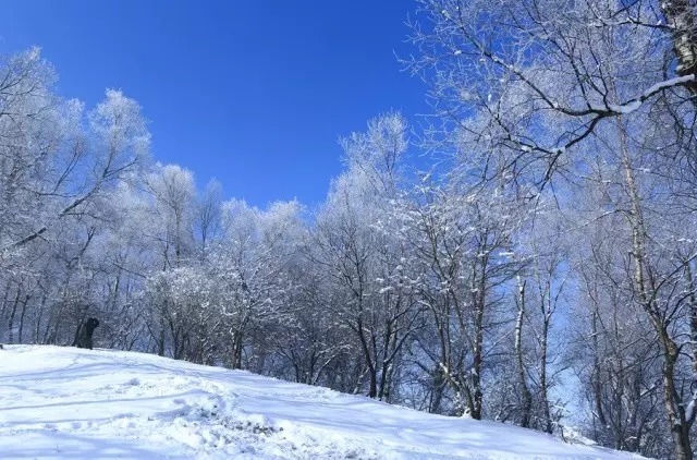 “神秘人物现身新乡南太行......