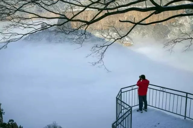 最不可错过的雪后景观......