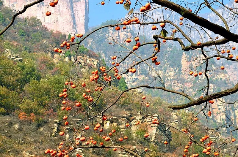 2018年河南省全民徒步大会暨新乡南太行（万仙山）休闲健身节顺利举办！