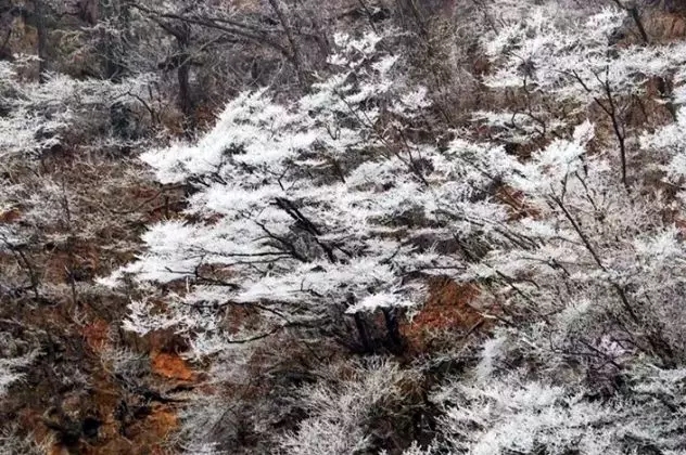 新乡南太行|承包你全年的旅行计划