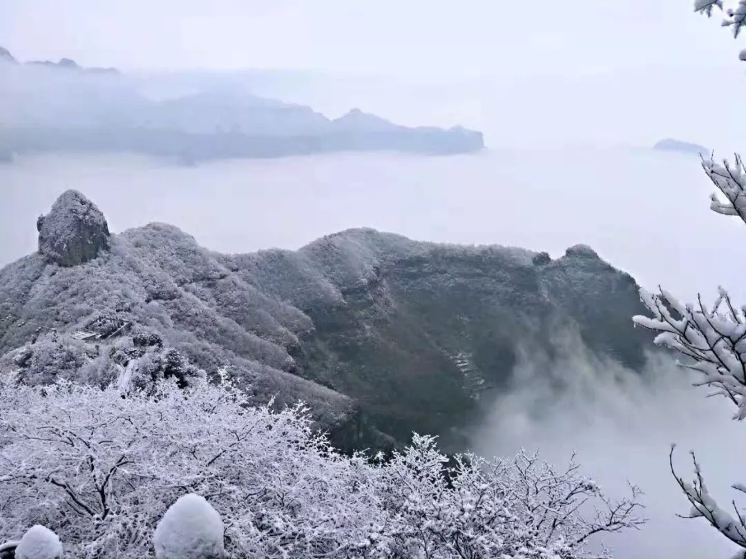 赏过“秋香”，发现冬景之美！